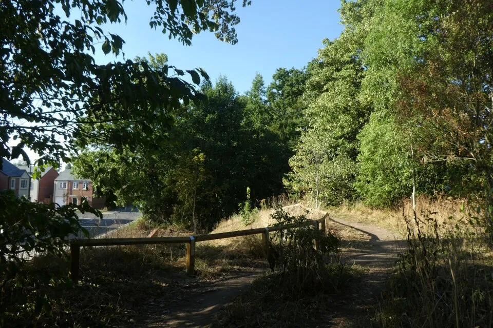 Fencing contractor working in a residential home